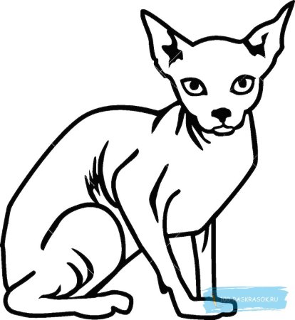 Контур сфинкса кошки