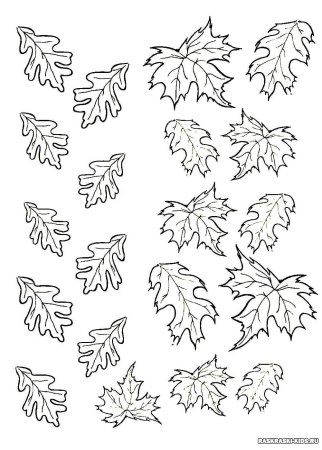 Трафарет осенних листьев для вырезания (49 фото)
