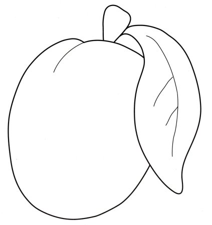 Слива раскраска