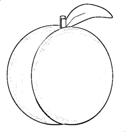 Слива раскраска