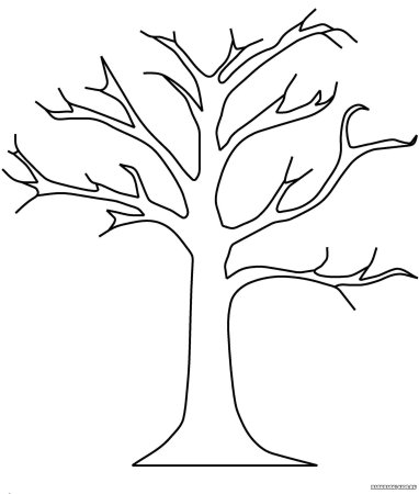 Раскраска дерево без листьев