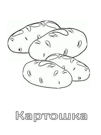Картофель раскраска