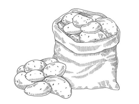Картошка трафарет