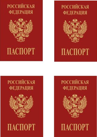 Паспорт для ребенка игрушечный