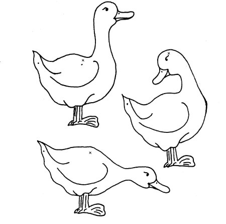 Гусь раскраска