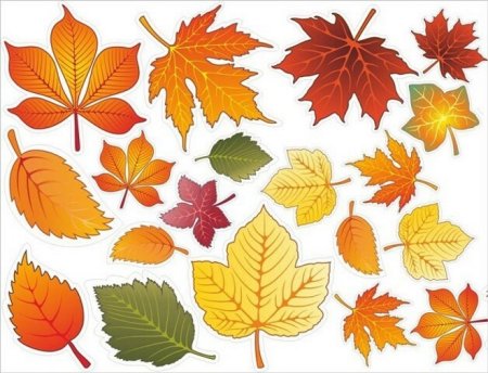 Трафарет цветных осенних листьев для вырезания (48 фото)