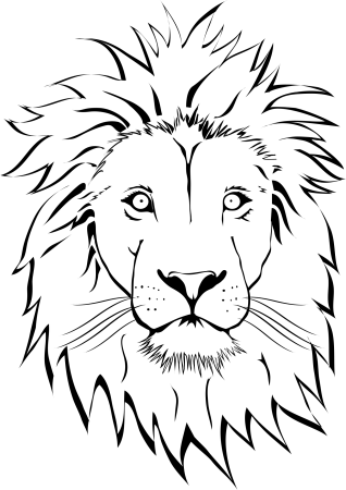 Лев контур
