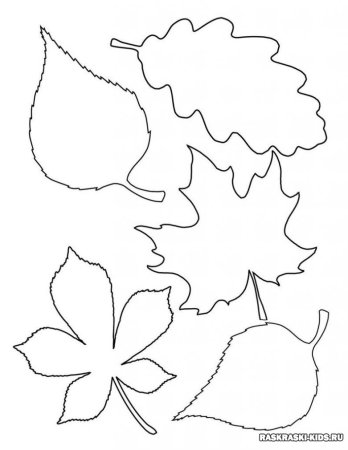 Трафареты "листья"