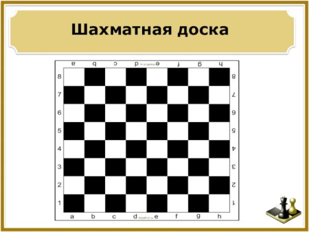 Поле Шахматов
