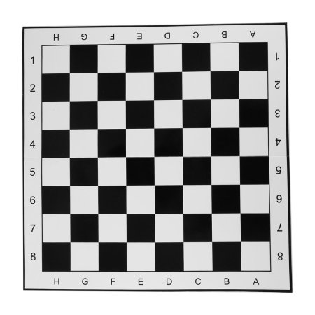 Distortion Grid