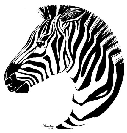 Трафарет зебры (46 фото)