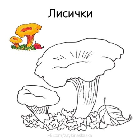 Гриб Лисичка раскраска