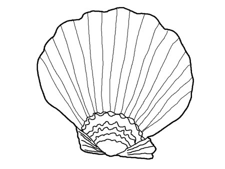 Раскраски ракушки морские
