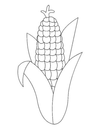 Кукуруза раскраска