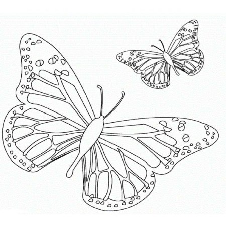 Трафарет бабочки для раскрашивания (48 фото)