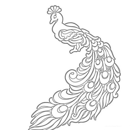 Сказочная птица раскраска