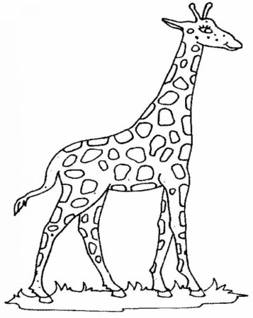 Трафарет жирафа (41 фото)