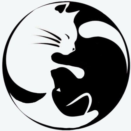 Тату Инь Янь кошки