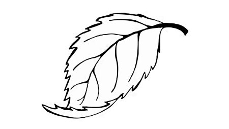 Трафарет листика березы (43 фото)