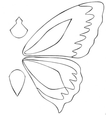 Трафарет крыльев бабочки (45 фото)
