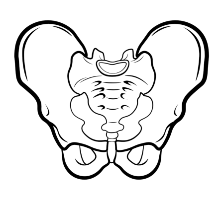 Кости Кощея