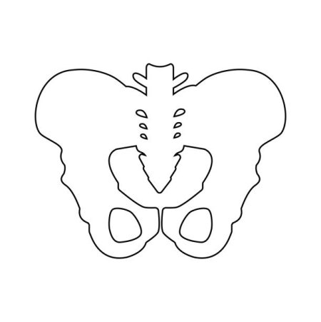 Кости для костюма Кощея