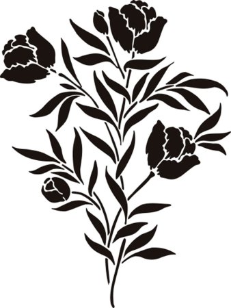 Раскраска цветы пионы