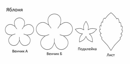 Цветок яблони шаблон