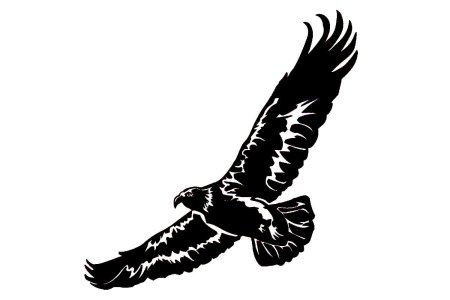 Парящий Орел