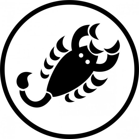 Скорпион трафарет
