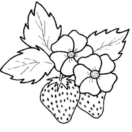 Аппликация клубника