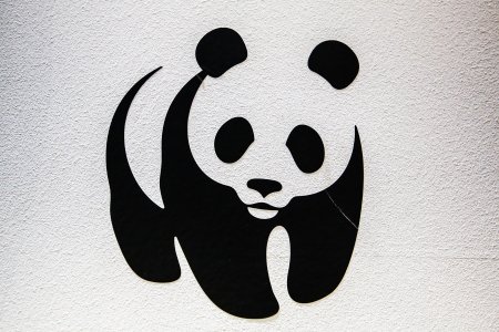 Всемирный фонд дикой природы WWF