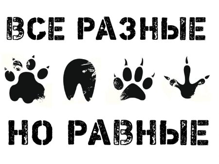 Трафареты для Панков