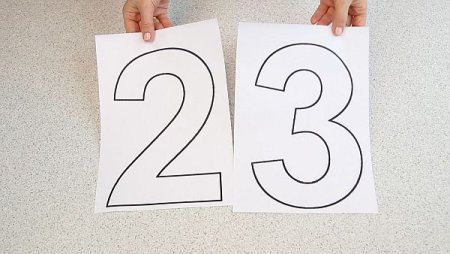 Число 23