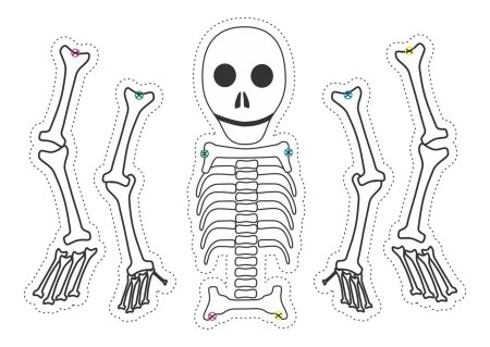 Скелет человека для костюма Кощея Бессмертного