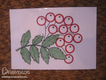 Ветка рябины для пластилинографии