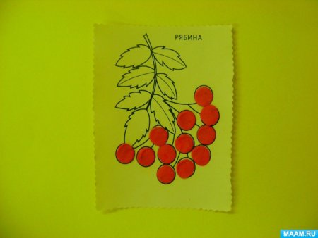 . Аппликация «ветка рябины» (а. н. Малышева)