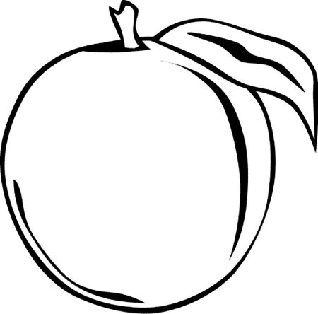 Слива черно белая
