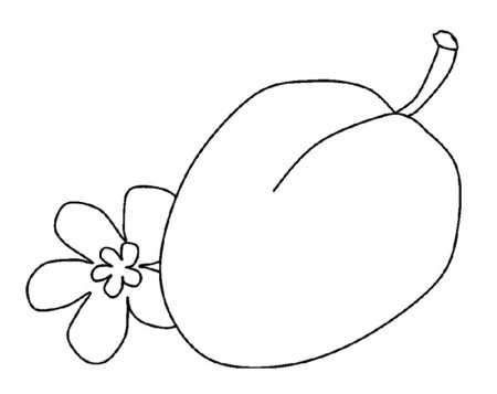 Абрикос раскраска