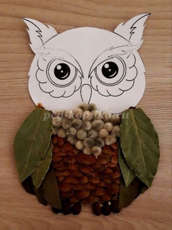 Сова из кленовых вертолетиков