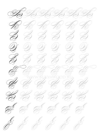 Спенсериан и копперплейт