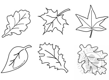 Трафарет осенних листьев разных размеров для вырезания (49 фото)