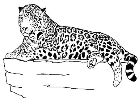 Леопард Графика