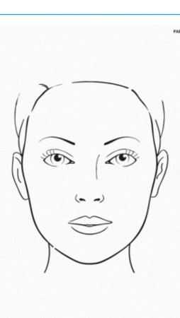 Face Chart для бровистов