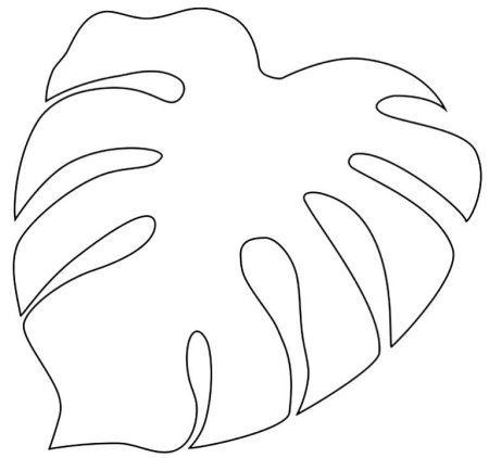 Monstera Leaf шаблон