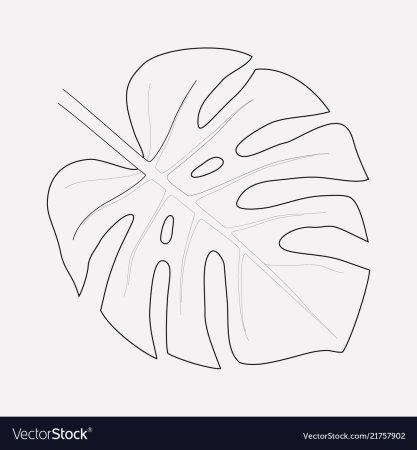 Monstera Leaf контур