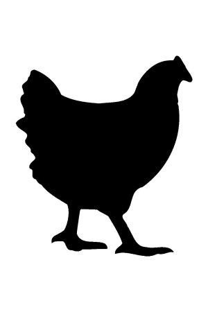Курица раскраска