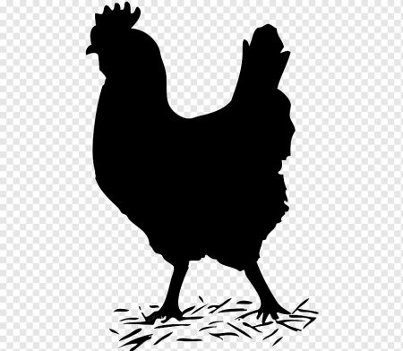Курица раскраска
