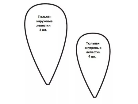 Трафарет лепестков тюльпана