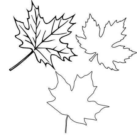 Кленовые листочки трафарет